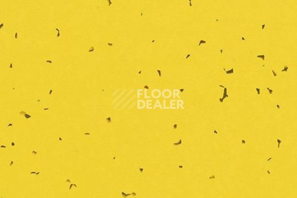 Линолеум Forbo Sphera Energetic 50201 yellow фото 1 | FLOORDEALER